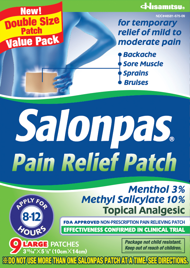 salonpas pain relief patch large